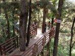 Wisata-Pijar-Park-Kudus.jpg
