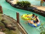 Wisatawan-berenang-sambil-melihat-buaya-di-Taman-Safari-Bogor.jpg