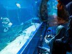 Wisatawan-berkunjung-ke-Oceanarium-BXSea-Bintaro-Tangerang-Banten.jpg
