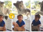 adam-dan-singa_20180816_093328.jpg