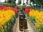 agro-rumpun-ijo.jpg