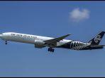 air-new-zealand-1.jpg
