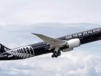 air-new-zealand_20161115_181601.jpg