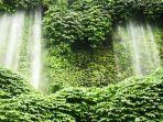 air-terjun-benang-kelambu-lombok-tengah.jpg