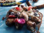 aksesori-kerang.jpg