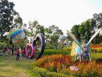 alamanda-jogja-flower-garden-di-dusun-tepan-desa-wonokerto-turi-sleman.jpg