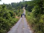 Alas Bonggan Blora - Hutan Jati Ini Punya Mesin Waktu, Beneran Nggak Ya?