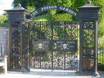 alnwick-poison-garden-taman-yang-penuh-tanaman-beracun-di-inggris.jpg