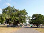 alun-alun-kidul-kraton-surakarta.jpg