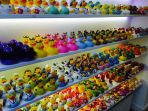 amsterdam-duck-store_20170503_203225.jpg
