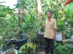 aneka-tanaman_20161025_203856.jpg