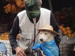 anjing-yang-diselimuti_20180302_112702.jpg