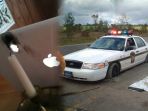 apes_20171011_154313.jpg