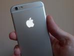 apple_20161021_184241.jpg