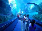 aquaria-klcc.jpg