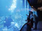 aquarium-indonesia-pangandaran-tempat-wisata-baru-di-pangandaran-jawa-barat.jpg