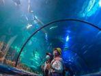 aquarium-seaworld-ancol.jpg