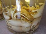 arak-bayi-tikus-fermentasi_20180529_133918.jpg