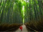arashiyama-bamboo-grove-di-kyoto-jepang.jpg