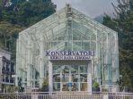 area-konservasi-di-kebun-raya-cibodas.jpg