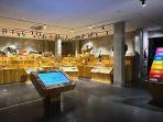 area-museum-sarang-burung-di-animalium-brin-1.jpg