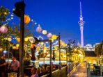 auckland_20171208_133414.jpg