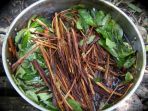 ayahuasca_20180831_143538.jpg