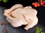 ayam_20171011_113247.jpg