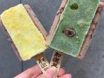 Azuki Bars, Es Krim Unik dari Jepang, Cocok Buat Camilan Diet dan Vegan Lover