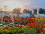 bagian-outdoor-di-tapos-garden.jpg