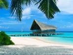 bahama_20160813_232003.jpg