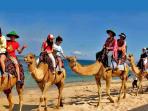 bali-camel-safari_20160913_231511.jpg