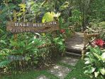 bali-mula-unik_20170804_151951.jpg