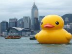 balon-bebek-raksasa-di-australia-barat_20180322_164303.jpg