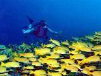 banana-reef.jpg
