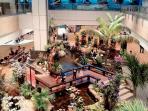 bandara-changi-singapura_20160809_150906.jpg