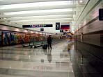 bandara-chicago-ohare.jpg