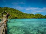 banggai-laut_20161209_174413.jpg