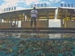 bangsring-underwater_20180401_152648.jpg