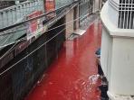 banjir-darah-di-dhaka_20160915_095437.jpg