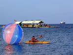 banyuwangi_20160925_144615.jpg