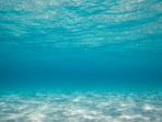 bawah-laut_20170505_095326.jpg