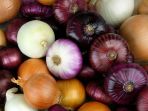 bawang_20180305_151510.jpg