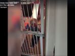 Aksi Balita Memanjat Pagar Besi Ini Viral, Videonya Tuai Kontroversi dan Bikin Ketar-ketir