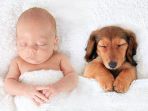 bayi_20170519_133611.jpg