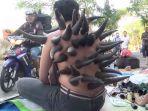 bekam-tanduk-kerbau.jpg