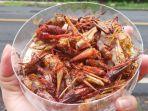 belalang-goreng-gunungkidul.jpg
