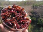 belalang-goreng_20161223_174140.jpg
