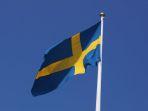 bendera-swedia.jpg