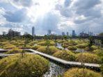 benjakitti-forest-park-satu-tempat-wisata-murah-di-bangkok-thailand.jpg